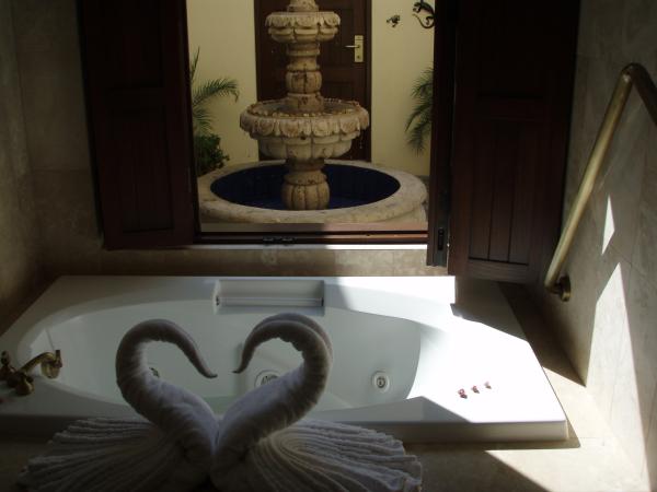 Master BR tub looking into entry w/folding doors