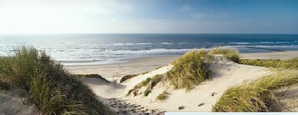 Ocean View
