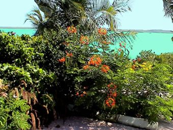 Emerald Shores Garden
