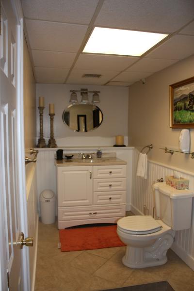 Lower Level Bathroom