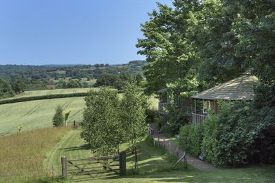 View from Treehouses