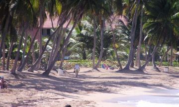 Humacao, San Juan, Vacation Rental Condo