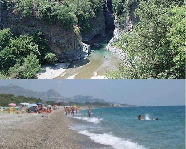 Zona