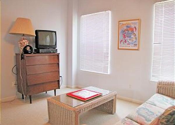 TV in Living Room