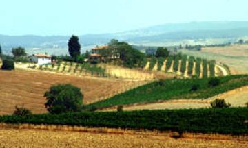 San Giovanni d'Asso, Tuscany, Vacation Rental Condo
