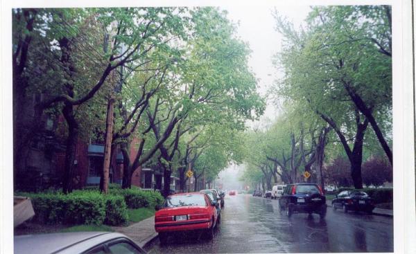 Road View