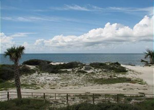 View from the Porch 
