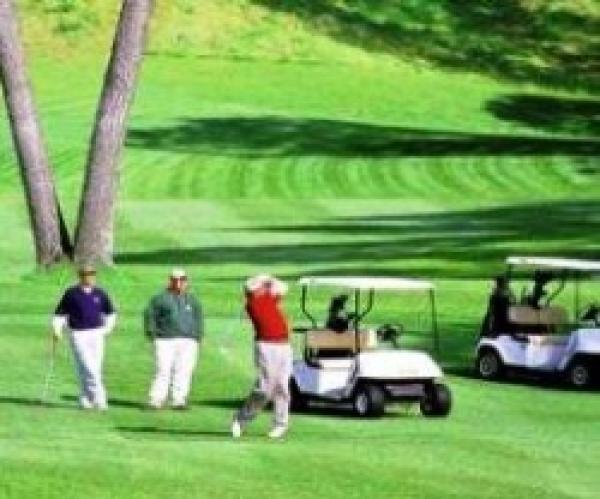 Golf View