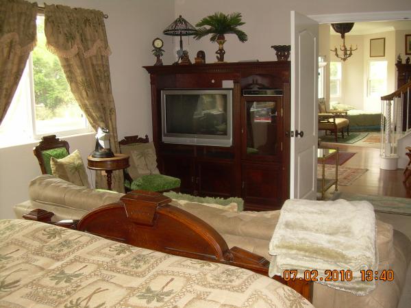 Couch and TV in the downstairs Master Bedroom