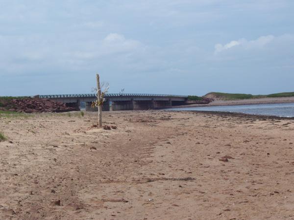 Sandy Area