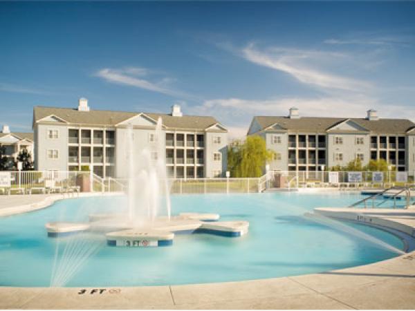 Poolside View