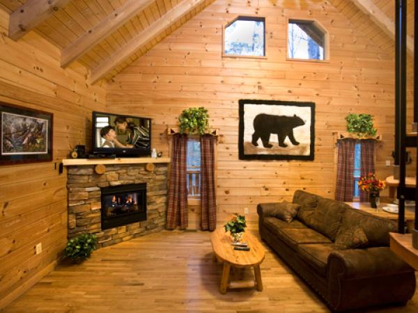 Living Area with Fireplace and TV