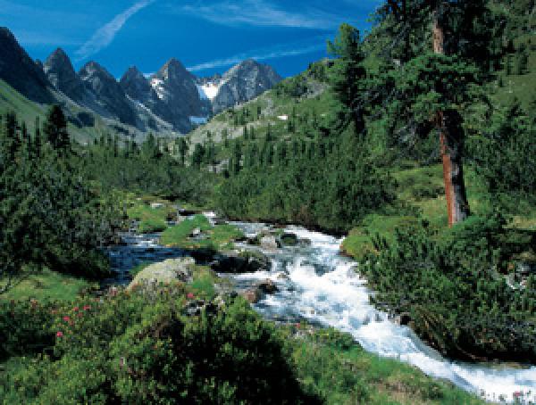 Bichlbach, Tirol, Vacation Rental Apartment