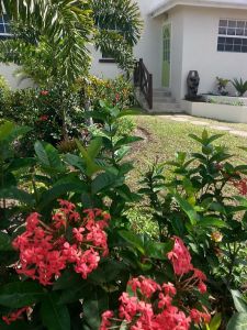 The Palms garden