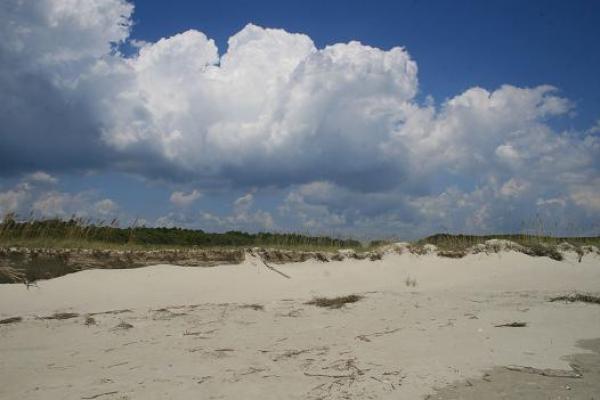 The Beach