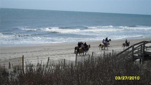 Hourse Backriding 