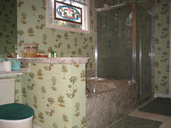 1st Floor Master Bath