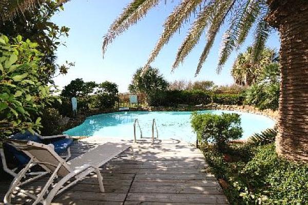 Poolside View