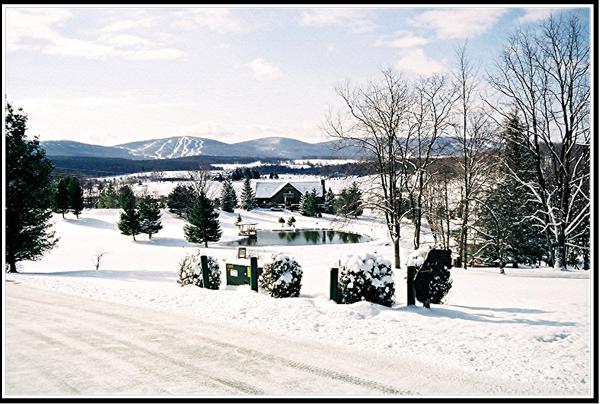 Black Bear Lodge