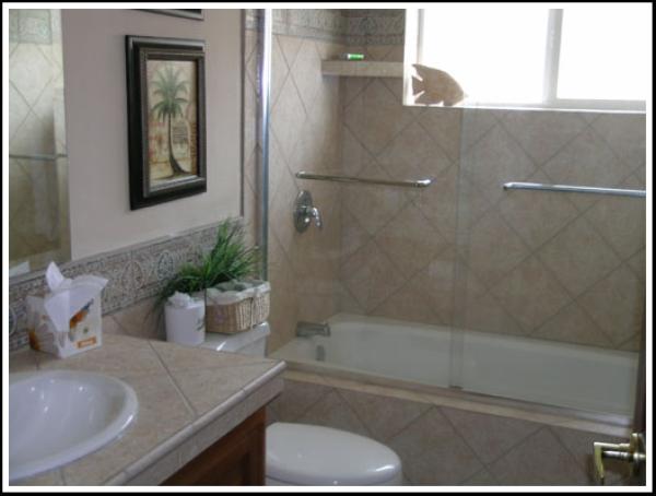 Guest Bath