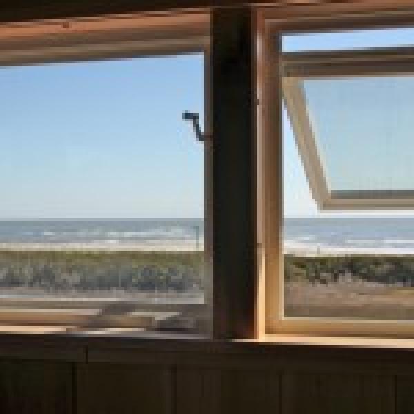 View from Window