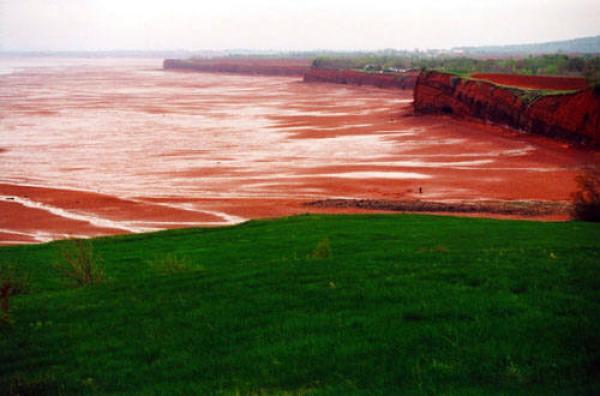 Blomidon Shale