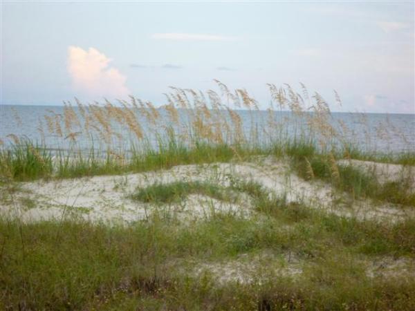 Dune View