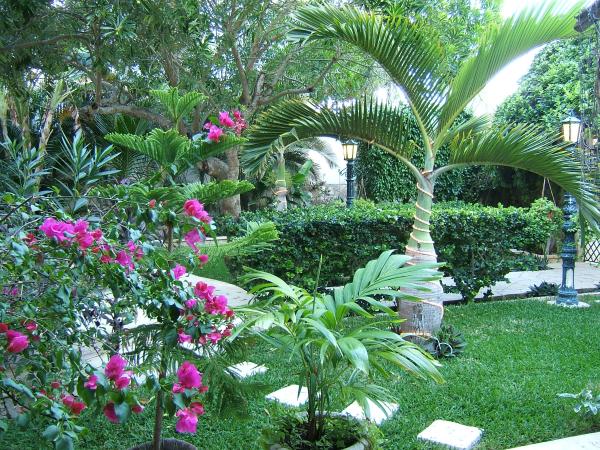 Front Garden