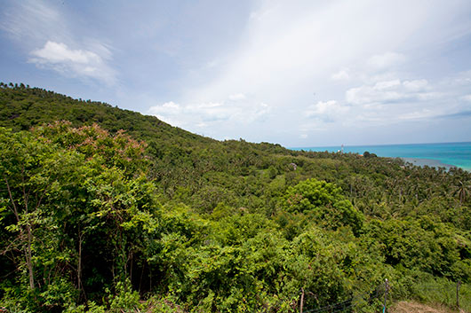 Koh Samui Holiday Rental Villas