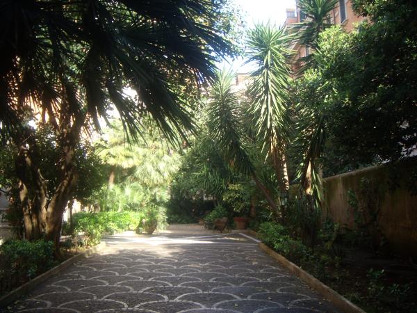 Our beautiful garden