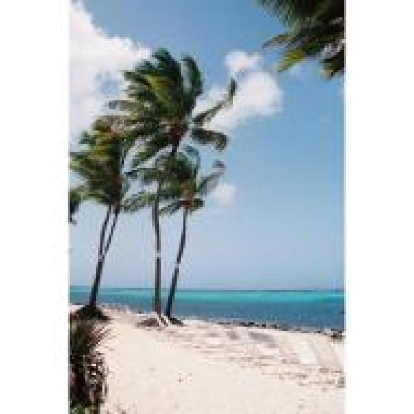 Beach view