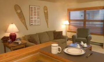 Telluride, Colorado, Vacation Rental Condo