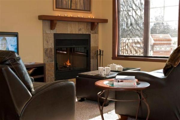 Fireplace in Living Area