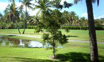 Palmas del Mar, San Juan, Vacation Rental Condo