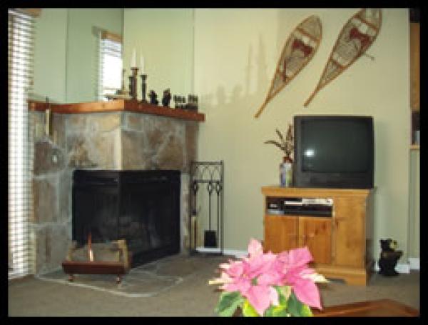 Fire Place