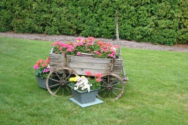 Cart