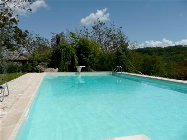 Pool Side View