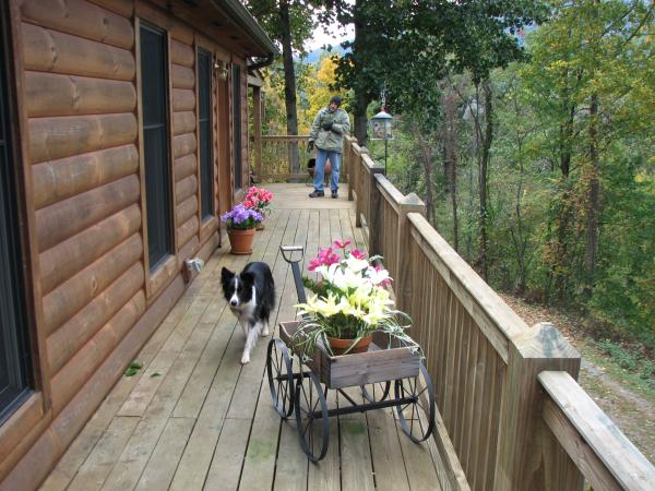 the front deck provides a panoramic view