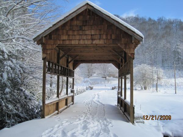 Winter  View