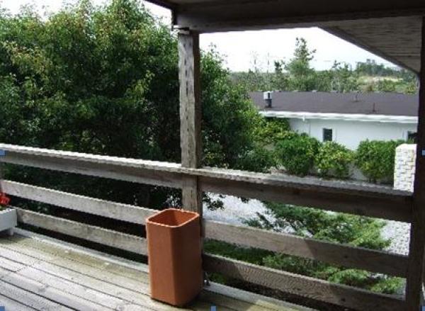 View from Deck