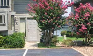 Hot Springs, Arkansas, Vacation Rental Condo