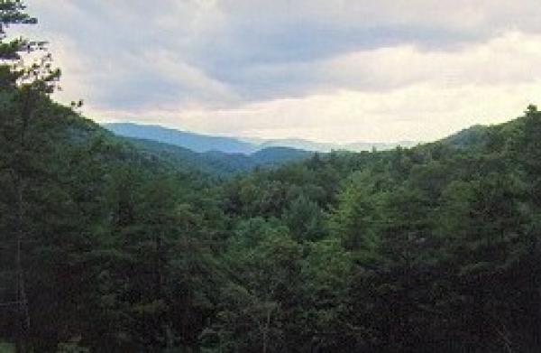 Panoramic Mountain View