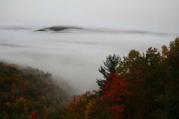 View off porch 