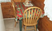 Mammoth Lakes, California, Vacation Rental Cabin