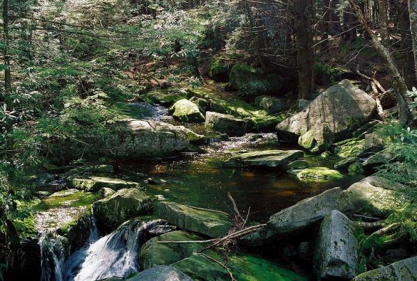Local Hiking Trails