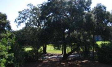 Seabrook Island, South Carolina, Vacation Rental Condo