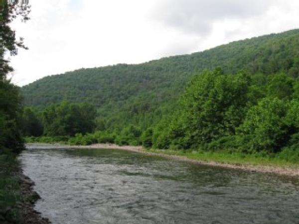 River View with Mountain