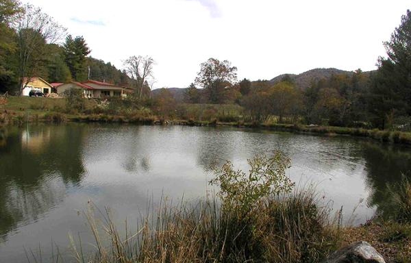 View from Lake