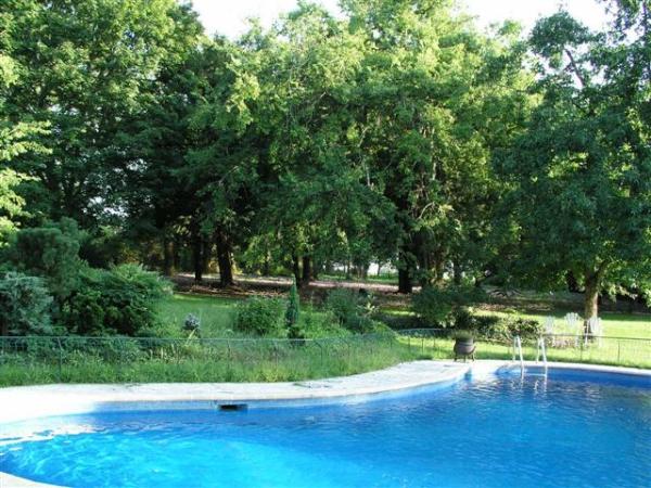 Another Pool View