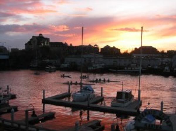 Sunset View